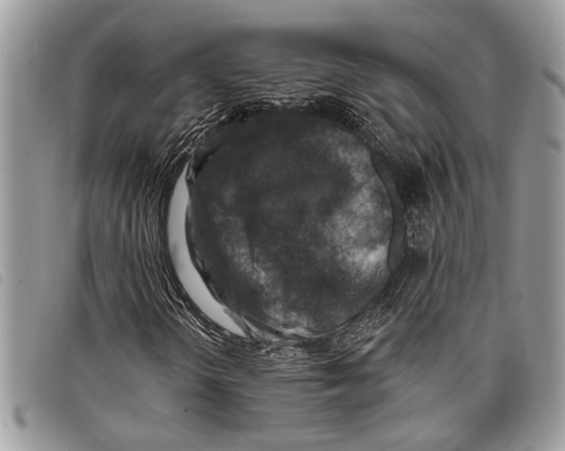 X0000097811298200804110940