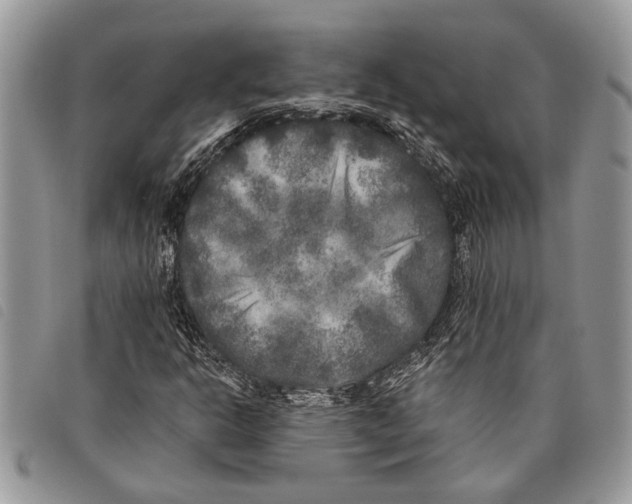 X0000097811302200804110940