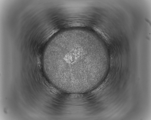 X0000097811305200804110940