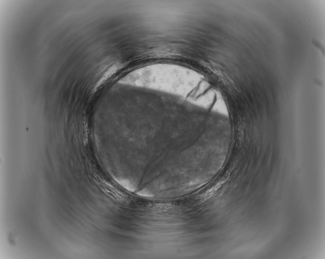 X0000097811306200804110940