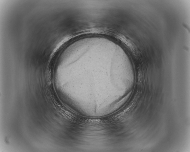 X0000097811310200804110940