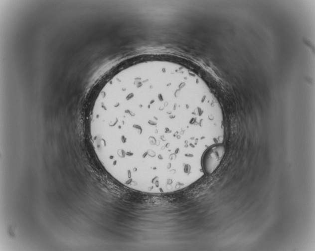 X0000097811311200804110940