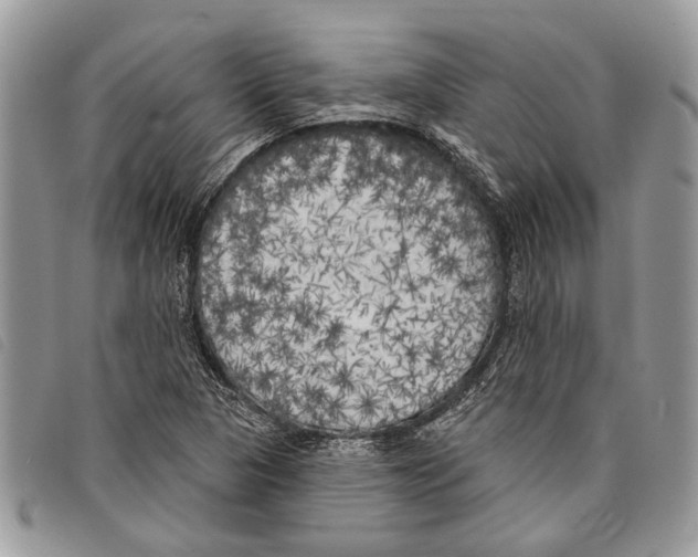 X0000097811313200804110940