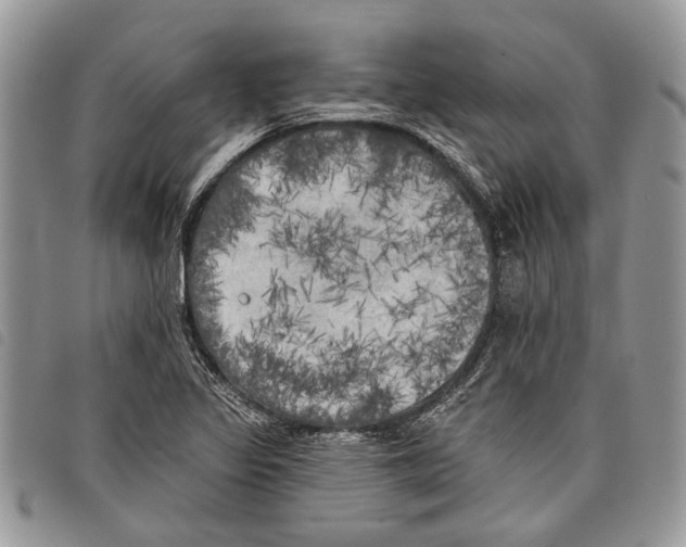 X0000097811317200804110940