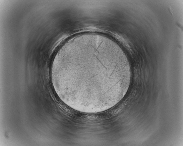 X0000097811318200804110940