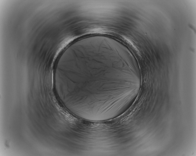 X0000097811323200804110940