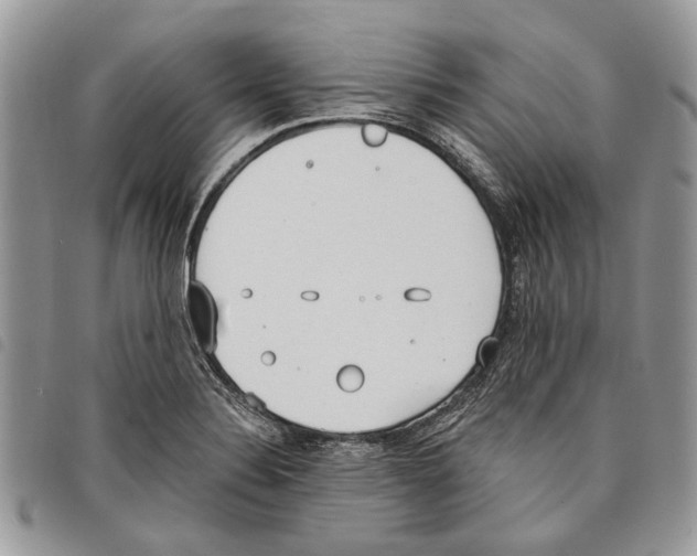 X0000097811324200804110940