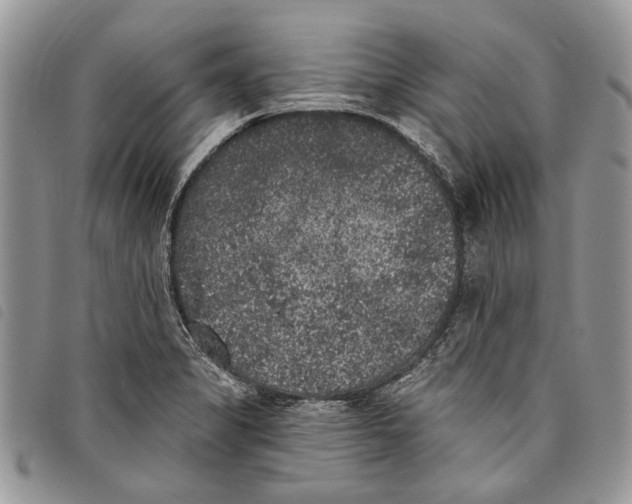 X0000097811325200804110940