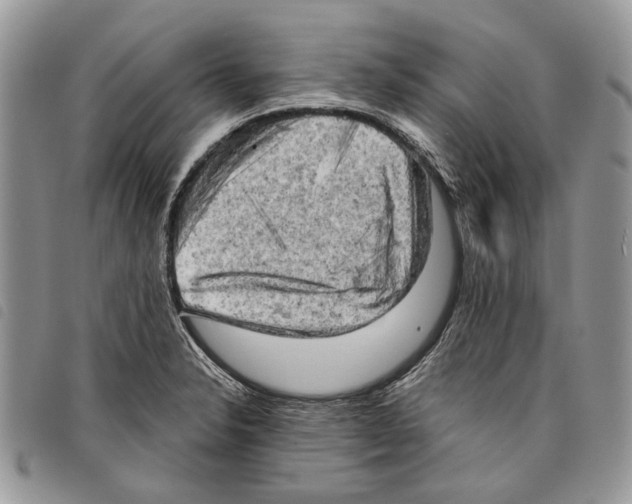 X0000097811326200804110940