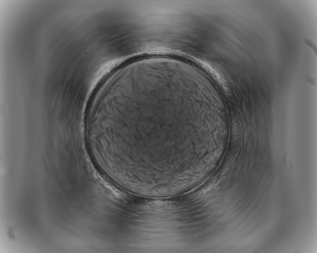 X0000097811327200804110940