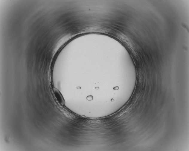 X0000097811328200804110940