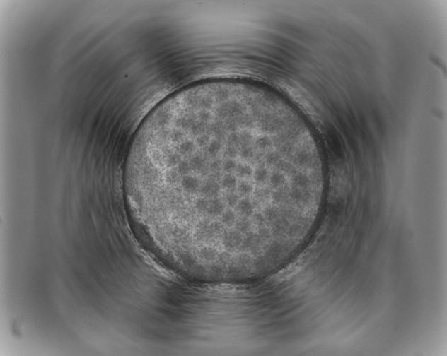 X0000097811329200804110940