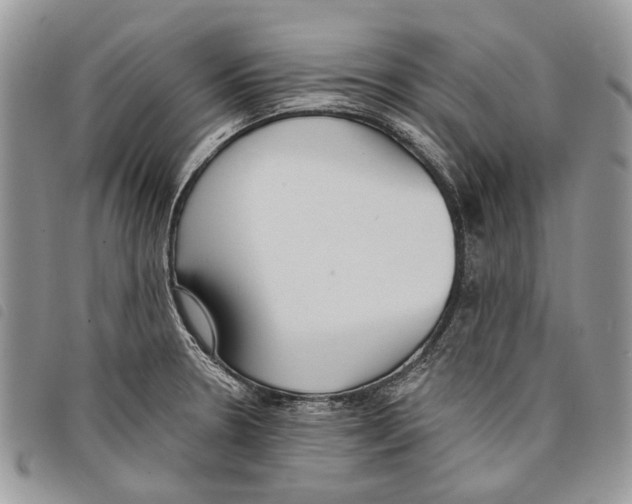 X0000097811330200804110940