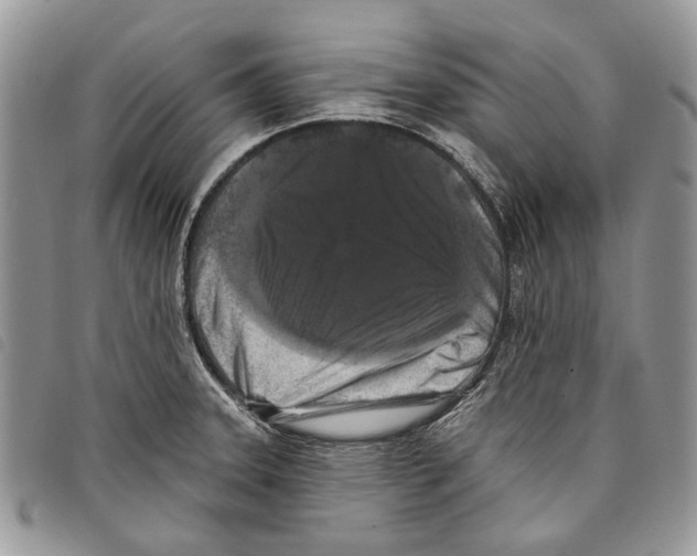 X0000097811331200804110940