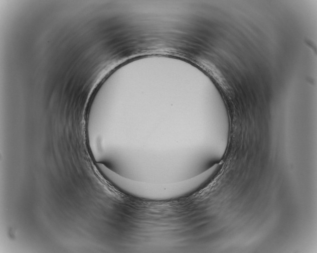 X0000097811332200804110940