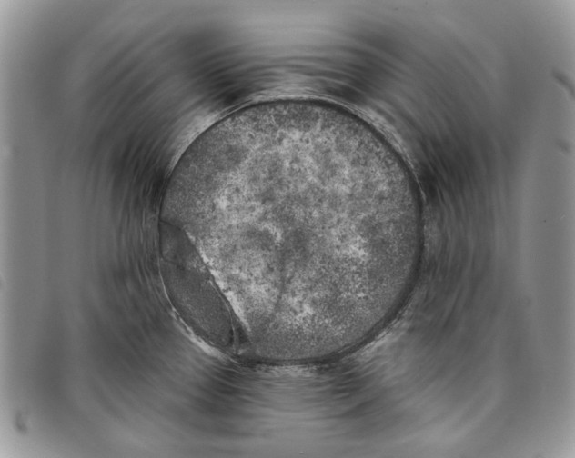 X0000097811337200804110941