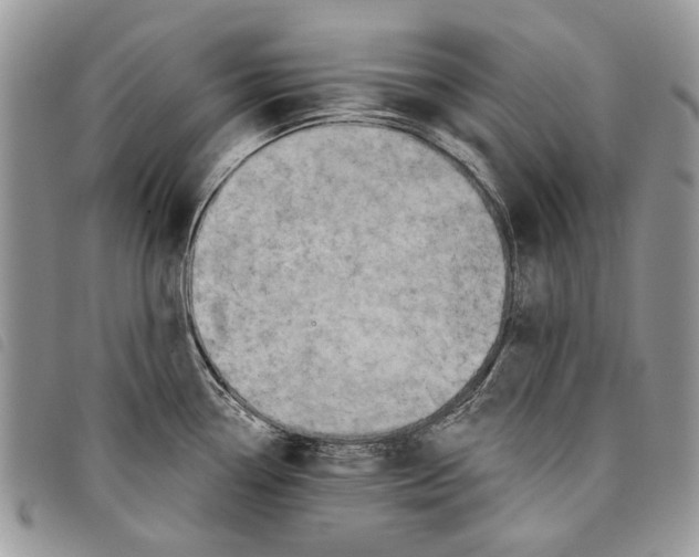 X0000097811338200804110941