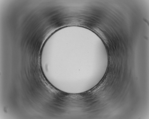 X0000097811340200804110941