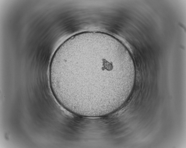 X0000097811343200804110941