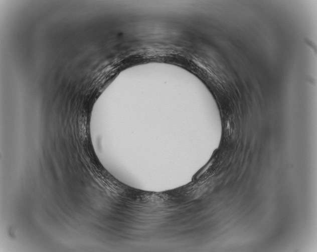 X0000097811348200804110940