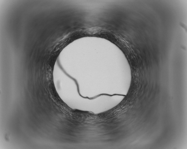 X0000097811349200804110940