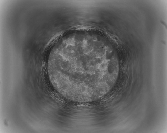 X0000097811351200804110940