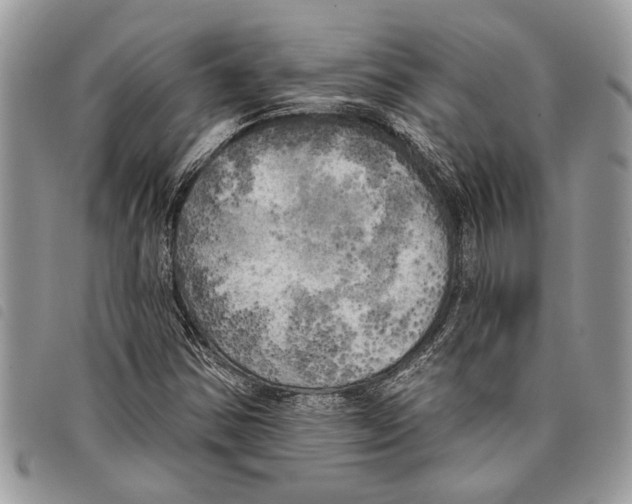 X0000097811354200804110939