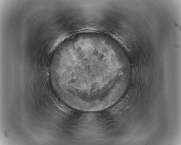 X0000097811355200804110939