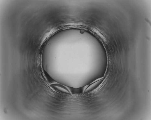 X0000097811357200804110939