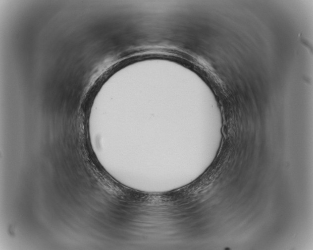 X0000097811360200804110939