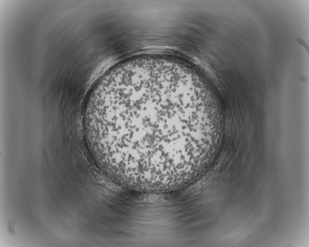 X0000097811362200804110939