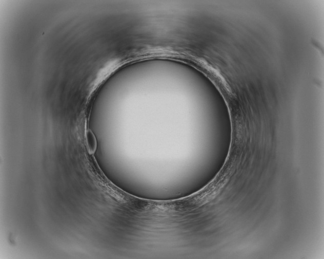 X0000097811365200804110939