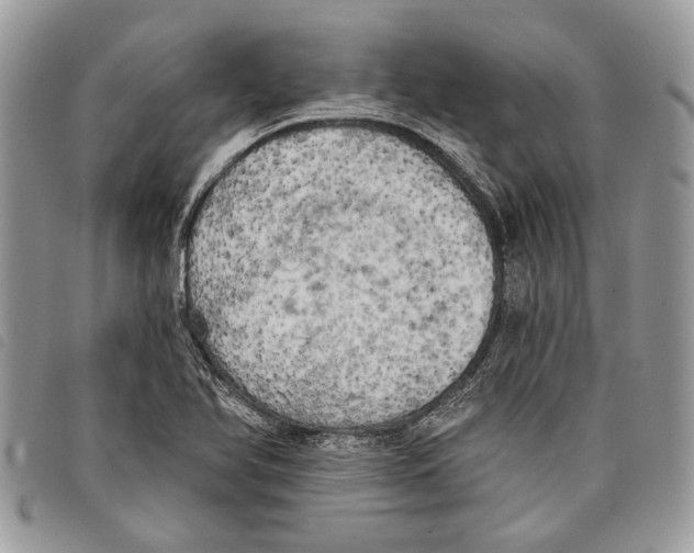 X0000097811366200804110939