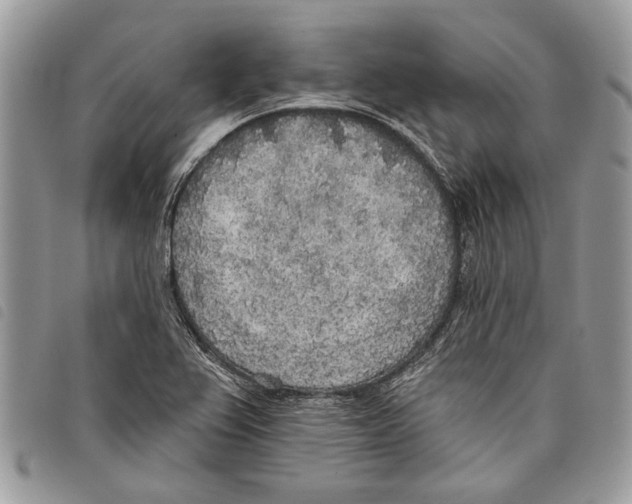 X0000097811367200804110939