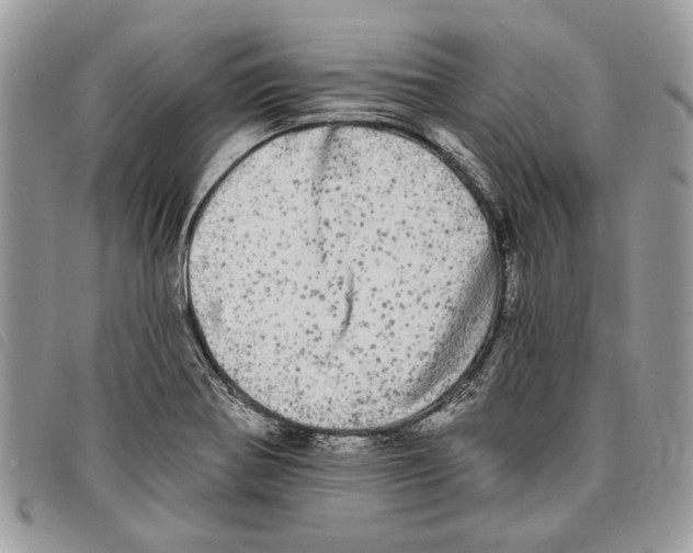 X0000097811370200804110939