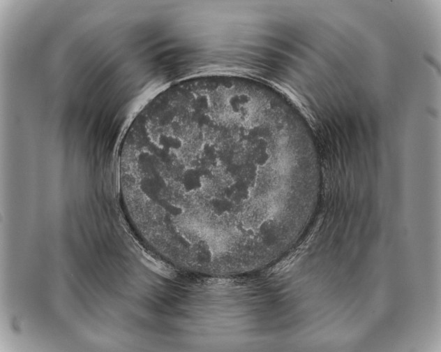 X0000097811371200804110939