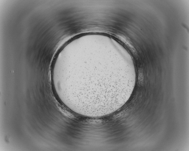 X0000097811372200804110939