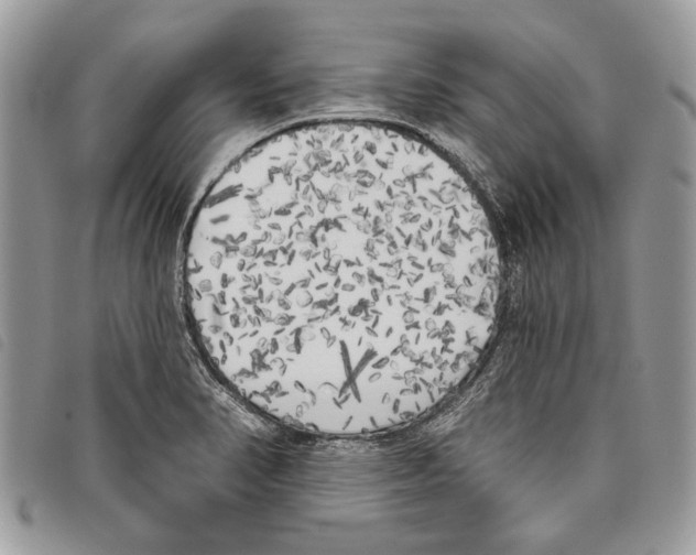 X0000097811374200804110939