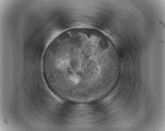 X0000097811375200804110939