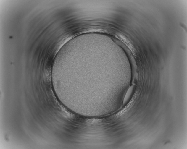 X0000097811377200804110939