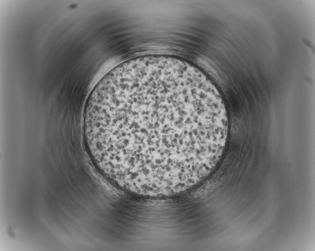 X0000097811378200804110939