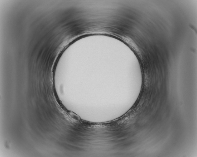 X0000097811380200804110939