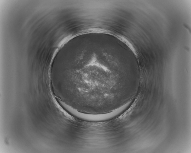 X0000097811381200804110939