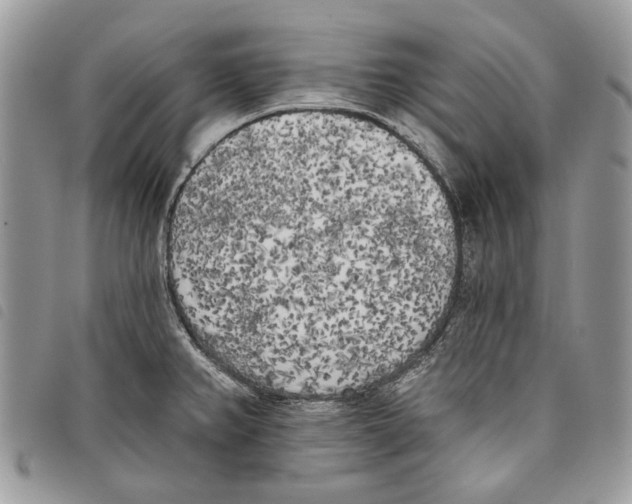 X0000097811382200804110939