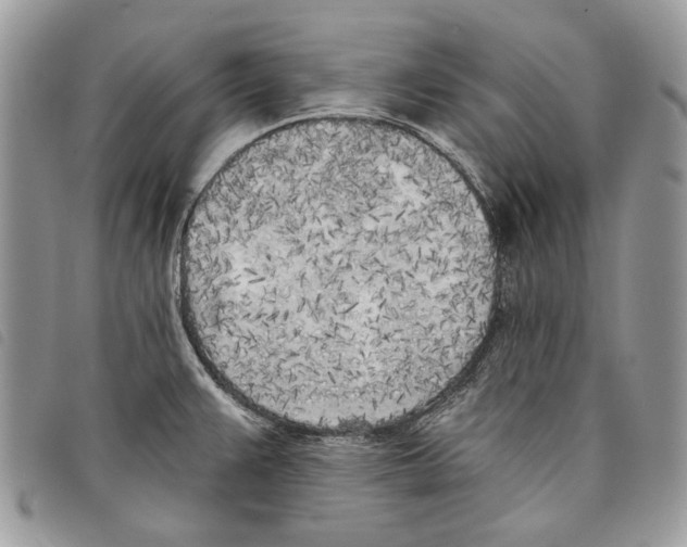 X0000097811383200804110939