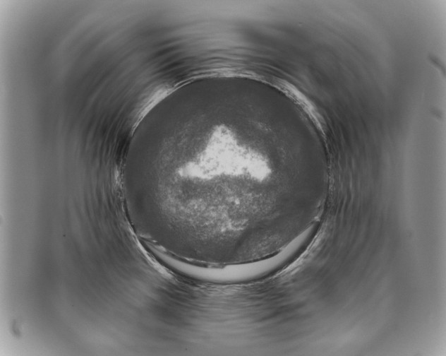 X0000097811385200804110939