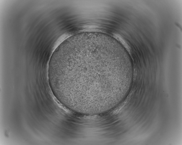 X0000097811386200804110939