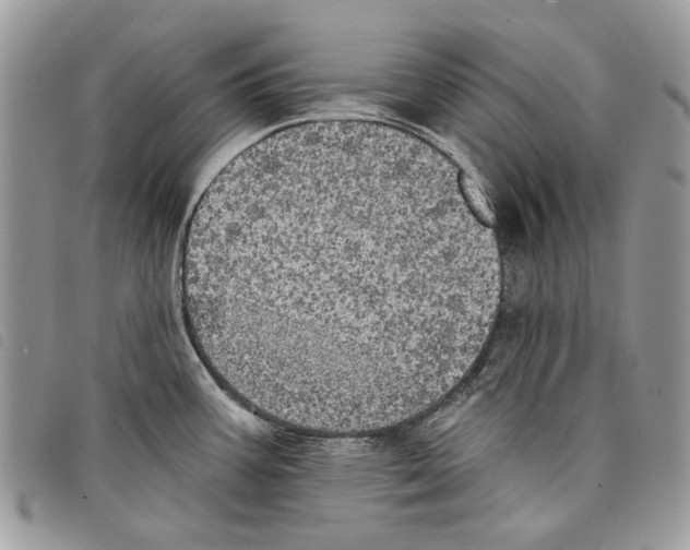 X0000097811387200804110939