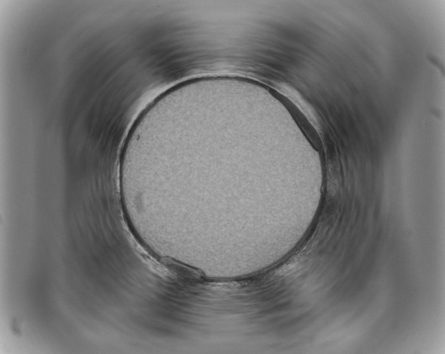 X0000097811388200804110939