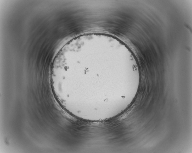 X0000097811390200804110939